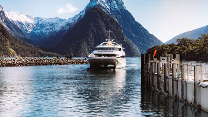 Milford Sound: Nature Cruise on Premium Glass-Roof Catamaran