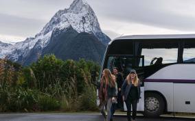 From Te Anau: Milford Sound Coach Tour and Cruise