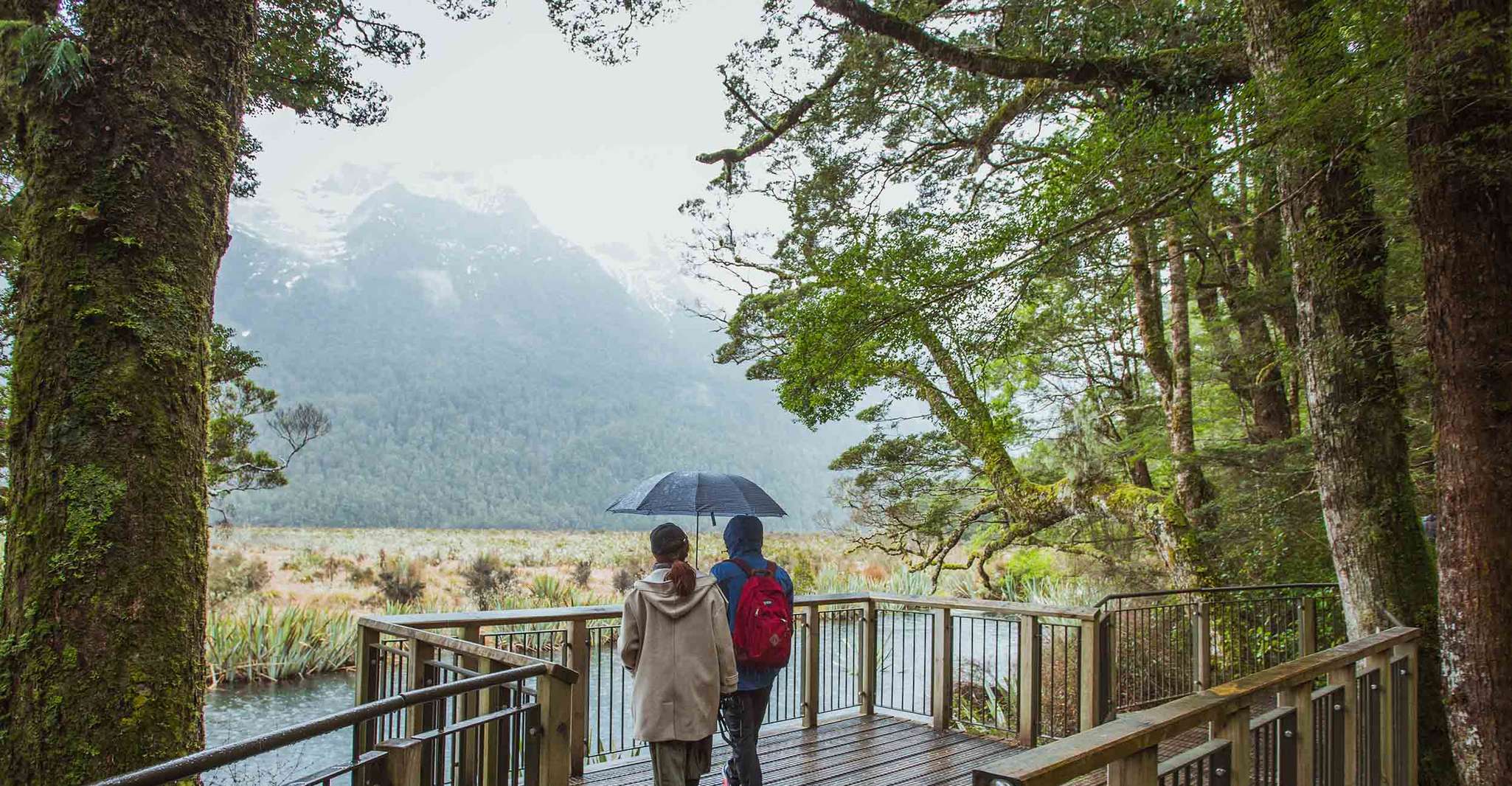 From Te Anau, Milford Sound Coach Tour and Cruise - Housity