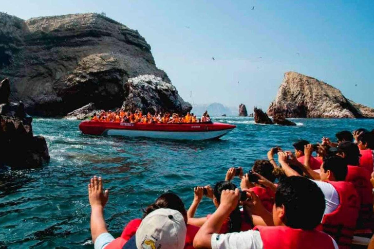 Desde Ica | Excursión de 2 días a Ica- Huacachina y Paracas