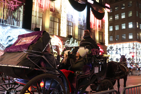 NYC: Åktur med magisk julbelysning i vagn (Upp till 4 vuxna)New York City: Magisk tur med häst och vagn i julbelysning