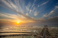 Dubai, la vista sul biglietto dell'osservatorio di palma - Housity