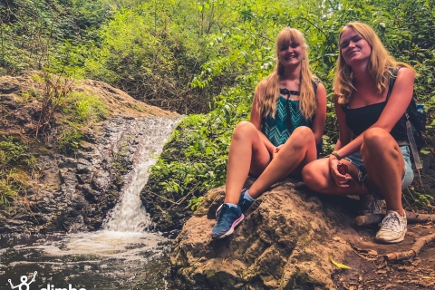 Gran Canaria, Spanien: Die Regenwaldtour