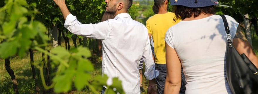 Lazise : Visite de la ferme biodynamique et dégustation de vin naturel