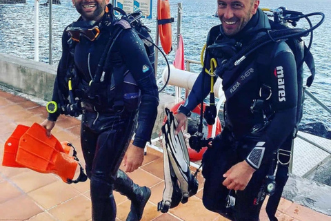 Madère : expérience de plongée sous-marineMadère: expérience de plongée sous-marine guidée de 3 heures