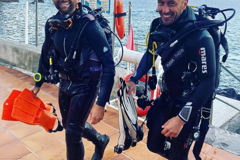 Madère : expérience de plongée sous-marineMadère: expérience de plongée sous-marine guidée de 3 heures