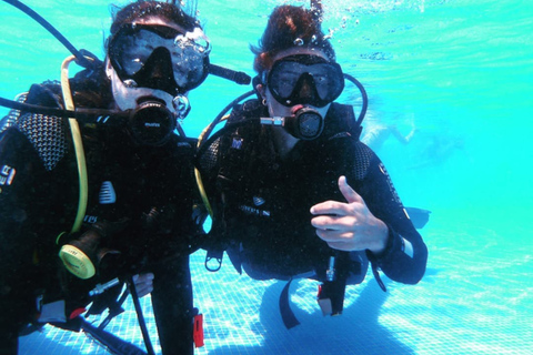 Madère : expérience de plongée sous-marineMadère: expérience de plongée sous-marine guidée de 3 heures