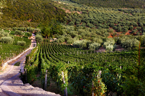 Sofia: Sandanski and Pozar Thermal Escape 9-Day Spa Tour