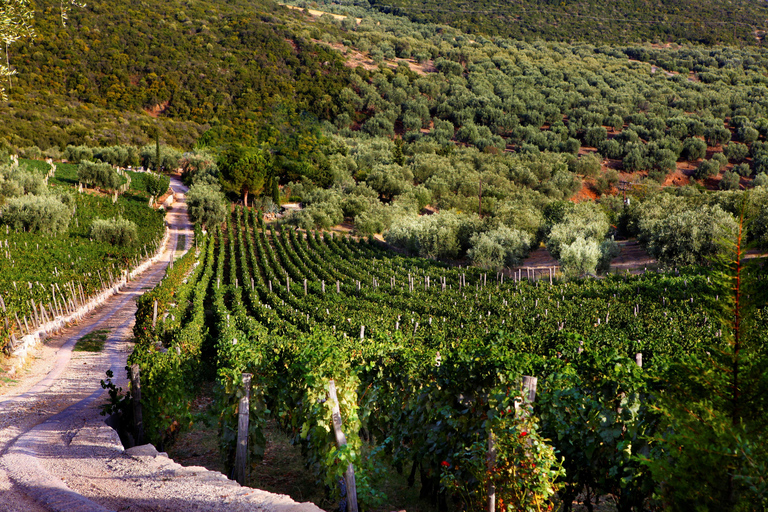 Sofia: Sandanski and Pozar Thermal Escape 9-Day Spa Tour