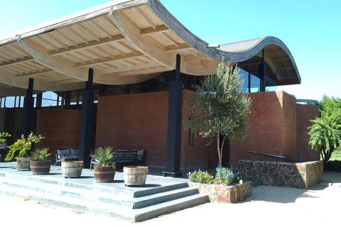 Wineries Tour in Casablanca Valley from Valparaiso Shared tour