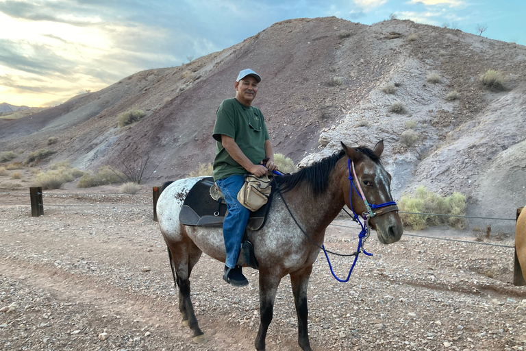 Las Vegas: Tour a caballo en Red Rock CanyonTour de la tarde