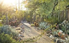 Tucson: Botanical Gardens Admission Ticket