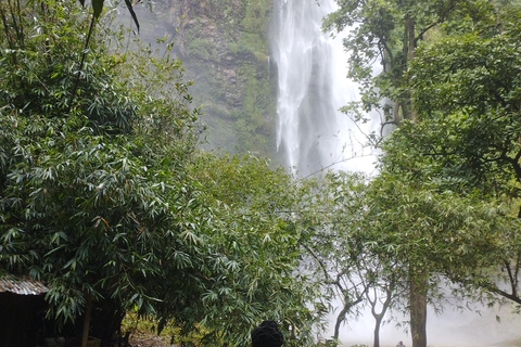 Regione di Volta; Santuario delle scimmie di Tafi Atome e cascata di Wli ...