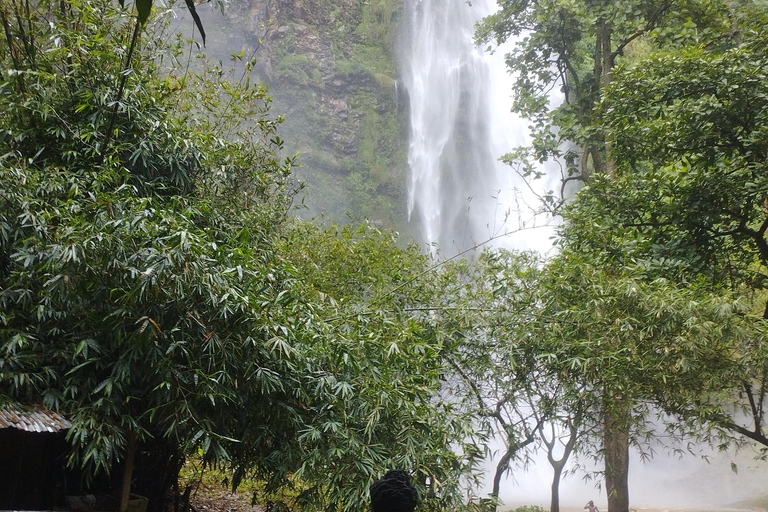 Região de Volta; Santuário de macacos de Tafi Atome e cascata de Wli ...