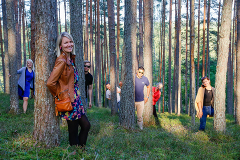 Sightseeing Transfer from Riga to Tallinn