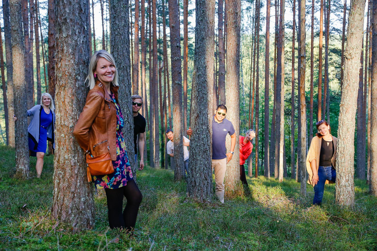 Sightseeing Transfer from Riga to Tallinn