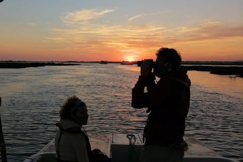 Ria Formosa: Sunset Boat Trip