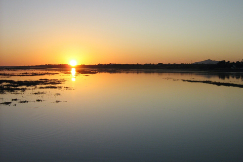 From Faro: Ria Formosa Sunset Boat Trip