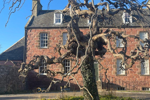 Da Inverness: tour della Black Isle con avvistamento dei delfini