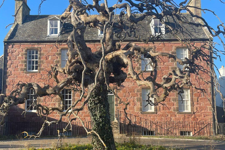 Da Inverness: tour della Black Isle con avvistamento dei delfini