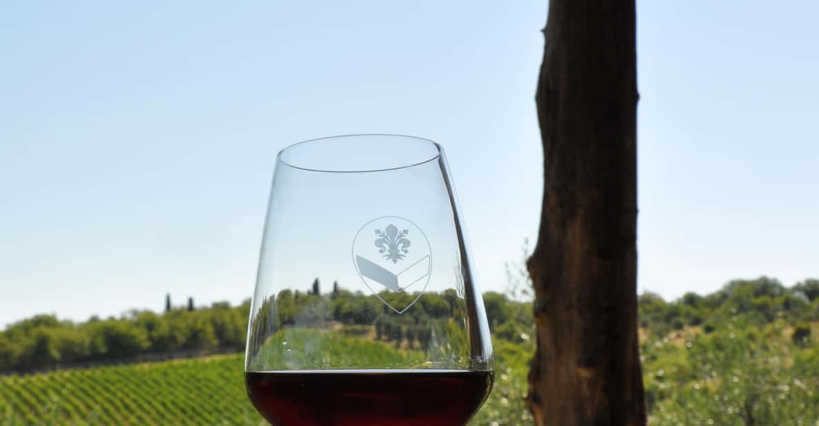 Afbeelding 2 van Chianti: biologische tuin en wijnproeverij