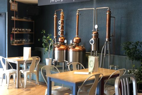 Edimburgo: degustazione guidata di gin presso 56 North Distillery