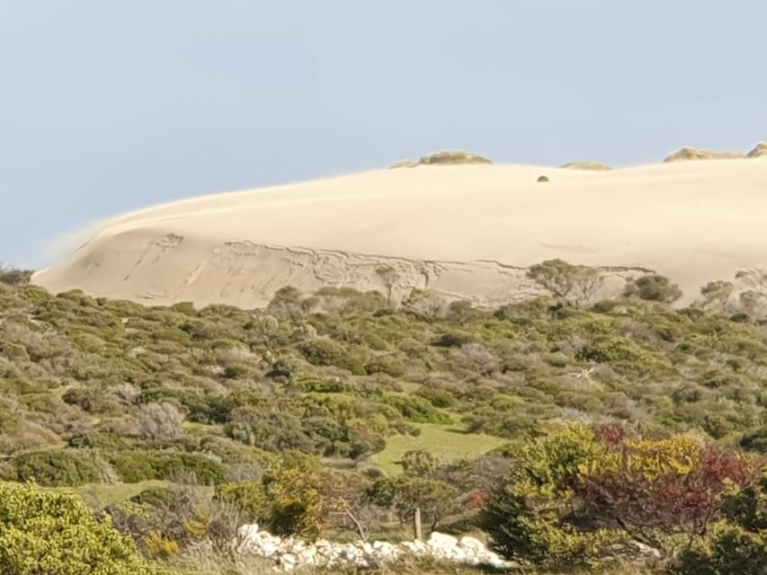 Adelaide To Yorke Peninsula Bus Timetable at Sylvia Cornell blog
