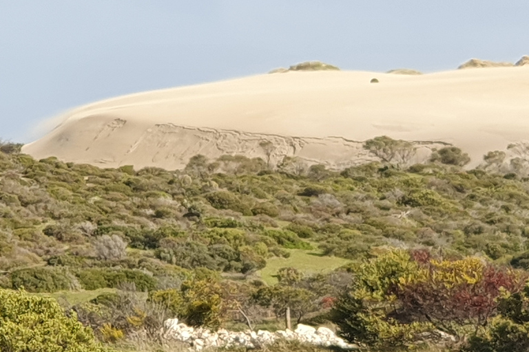 3-tägige Yorkes Peninsula Coastal Wilderness Tour ab AdelaideStandard Ferienpark/Haus, Einzel