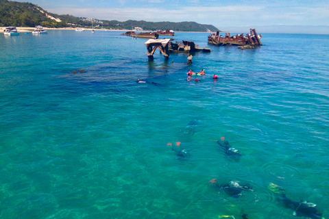 Excursión de un día a Moreton Island para bucear y mucho más