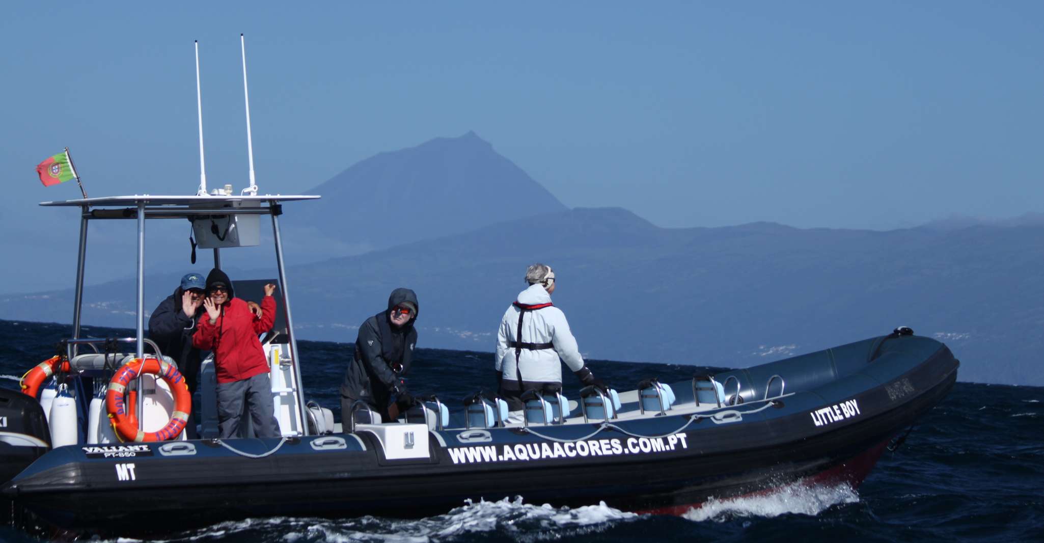 Pico Island, Azores Whale & Dolphin Watching on Zodiac Boat - Housity