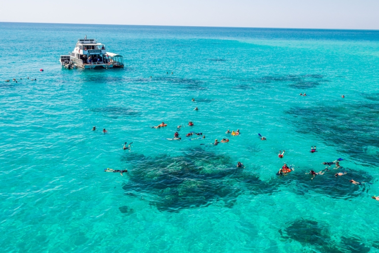 Cairns: Outer en Coral Cay snorkel- en duikcruiseGroot Barrièrerif: boottocht 2 bezoeken & 1 certified dive