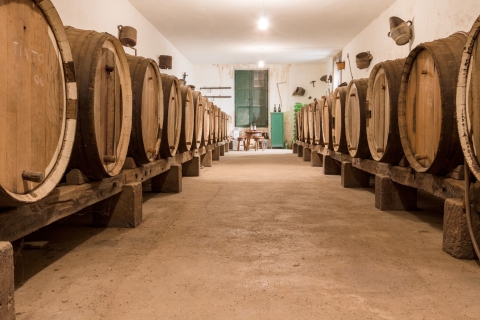 Grande Canarie : visite des vignobles, musée du vin et dégustation