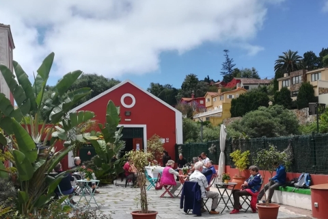 Gran Canaria: visita a la bodega, museo del vino y degustación