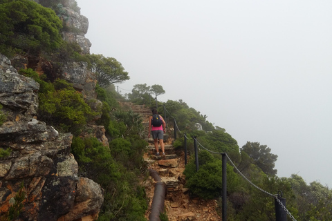 Table Mountain: suave meandro guiado para toda la familia