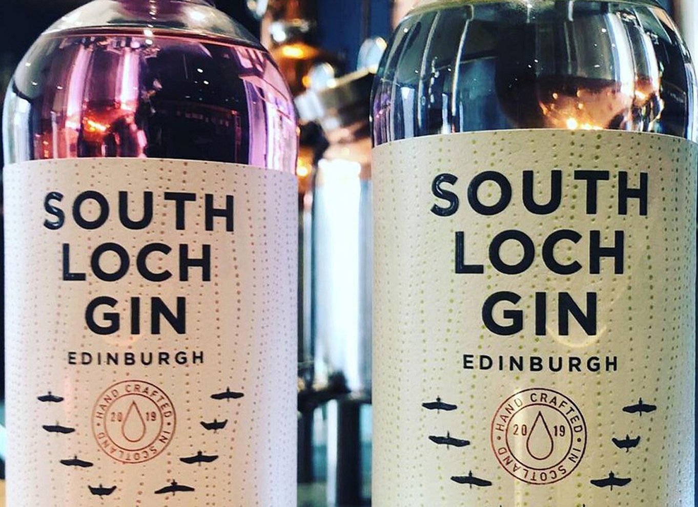 Edinburgh: Guidet ginsmagning på 56 North Distillery