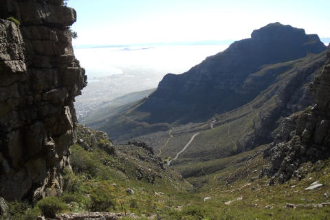 Tafelberg: wandeling Platteklip Gorge