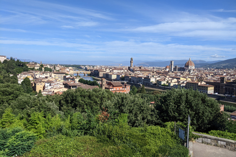 Florence: City Tour by Van with Accademia and Duomo