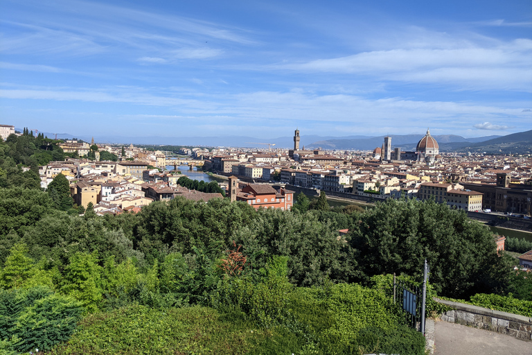 Florence: City Tour by Van with Accademia and Duomo