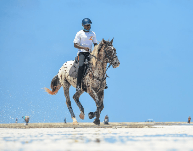 Zanzibar: Horseback riding on the beach