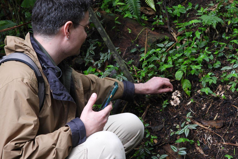 San Jose Birdwatching: Nature and Cultural Experience