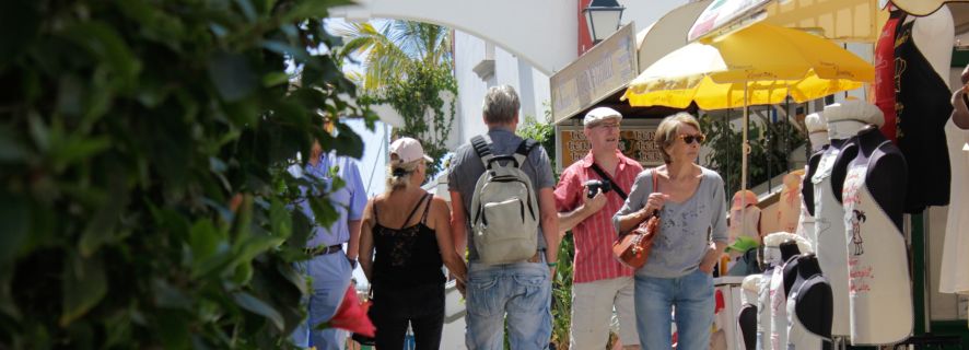 Gran Canaria: Guided Day Tour of the South