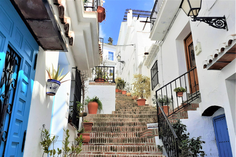 Desde Málaga o Marbella: Nerja y Frigiliana Day TourRecogida en Málaga