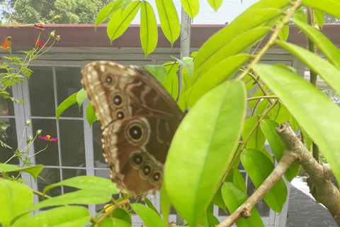 De Panama City: visite privée d'une journée à El Valle de Anton