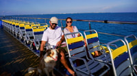 Cancunから、Isla Mujeresからの往復フェリーチケット - Housity