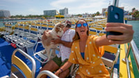 Cancunから、Isla Mujeresからの往復フェリーチケット - Housity
