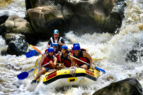 Cairns: Raging Thunder Barron Gorge River Rafting TripMet ophalen en wegbrengen