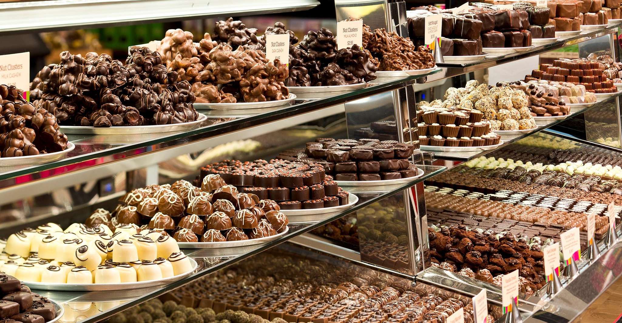 From Melbourne: Yarra Valley Chandon Cheese & Kangaroos Tour photo 18