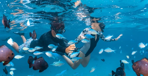 Von Perth nach Exmouth: 6-tägige Tour zum Ningaloo Reef und an der Coral Coast