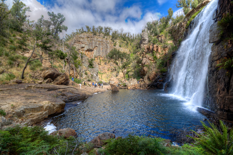 Adelaide to Melbourne: 3-Day Ultimate Overland JourneyShared Dorm Room for Adults