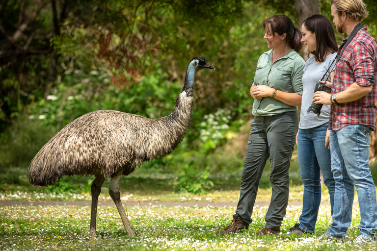 Adelaide to Melbourne: 3-Day Ultimate Overland JourneyShared Dorm Room for Adults